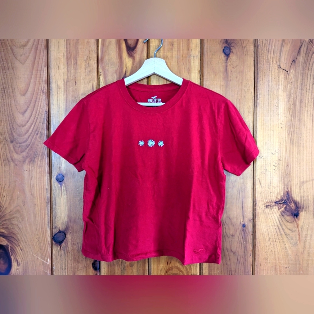 Hollister Daisy Short Sleeve Top